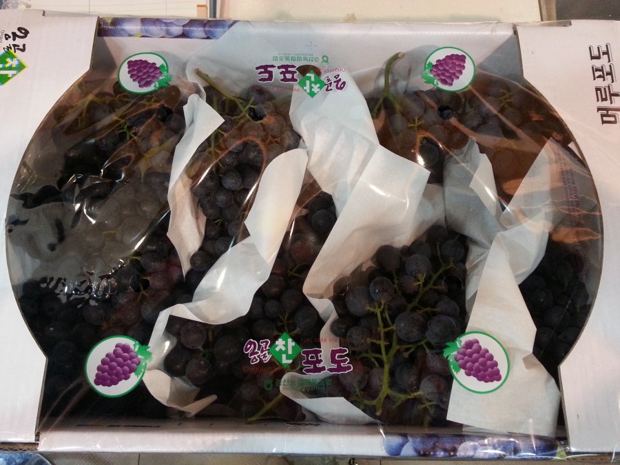 20130923_150103.jpg